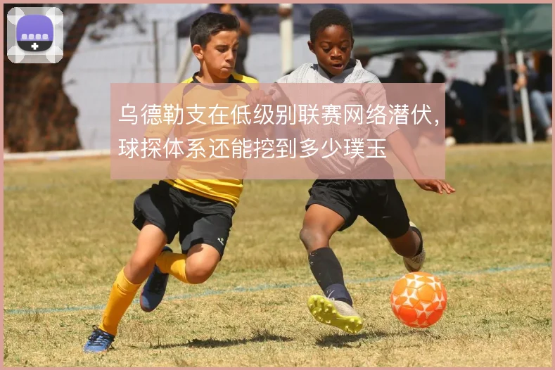 乌德勒支在低级别联赛网络潜伏,球探体系还能挖到多少璞玉