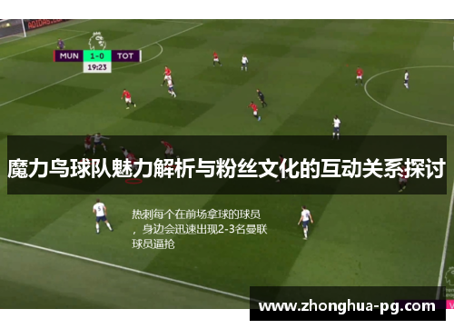 魔力鸟球队魅力解析与粉丝文化的互动关系探讨